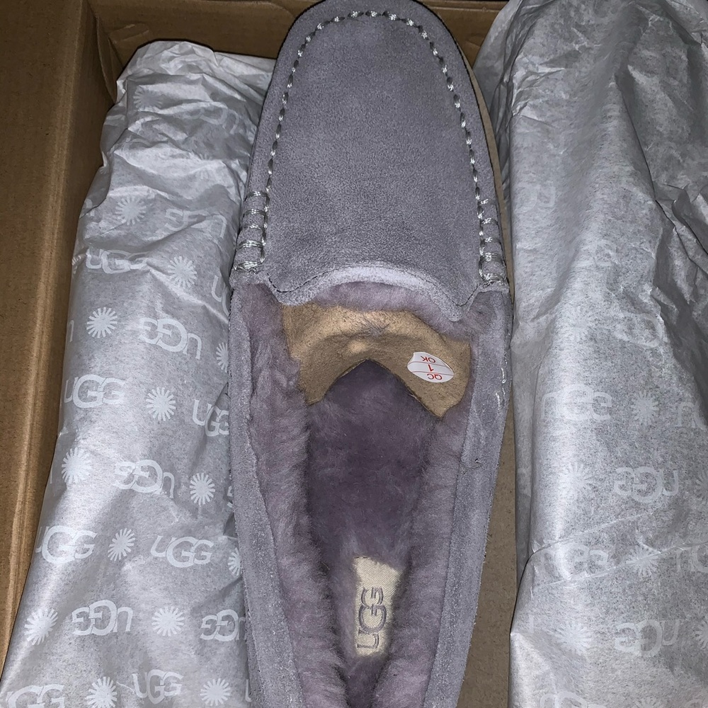 New UGGs